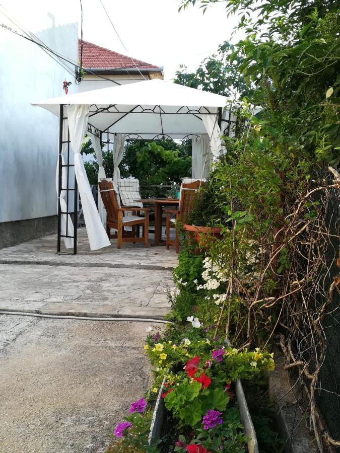 Lili Apartment In Zadar Pet Friendly, Free Parking エクステリア 写真