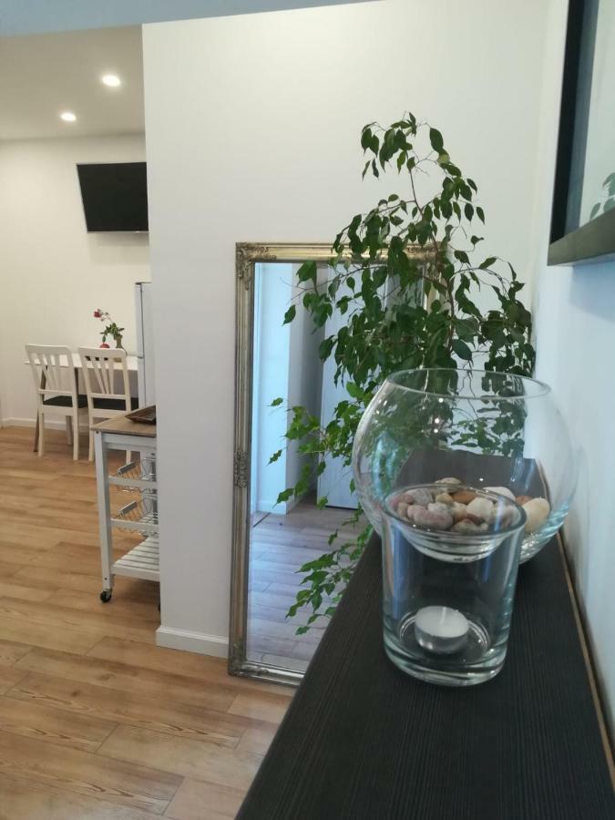 Lili Apartment In Zadar Pet Friendly, Free Parking エクステリア 写真